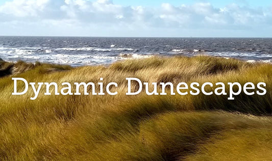 Dynamic Dunescapes Feature